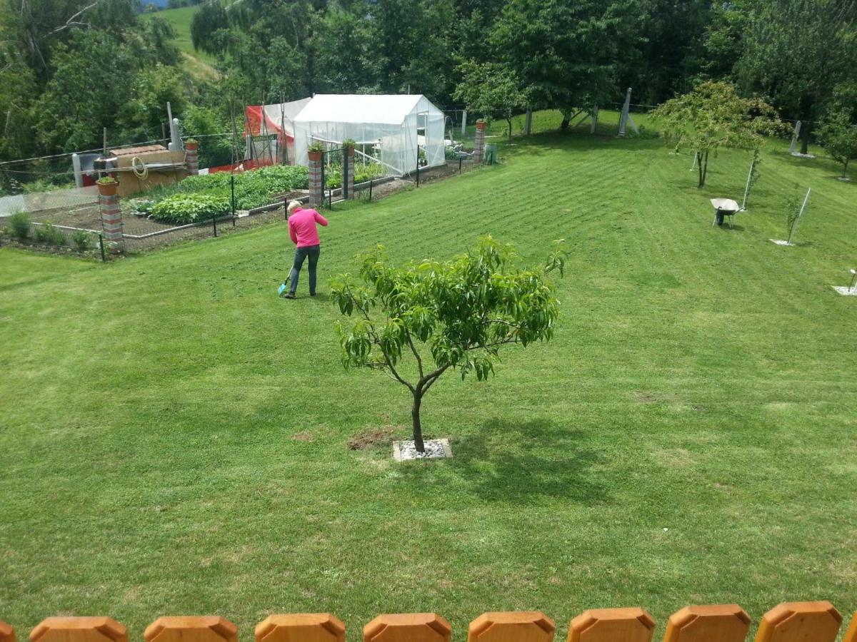 Sostanj Velenje Ravne Sobe Rooms Vrtacnik D O O المظهر الخارجي الصورة